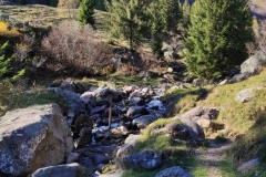 1668027768175