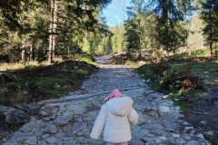 IMG_20221105_113040