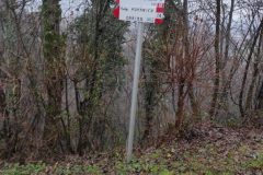 IMG_20210207_160155-scaled