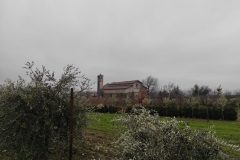 IMG_20210207_161011-scaled