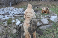 IMG_20221126_145807
