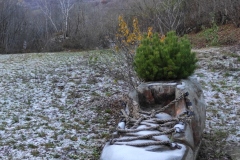 IMG_20221126_151640